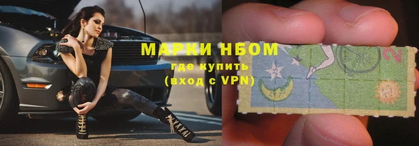 PSILOCYBIN Новокубанск