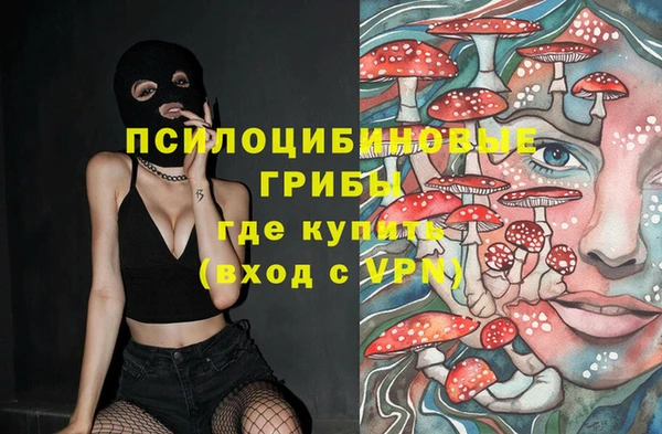 ECSTASY Новодвинск