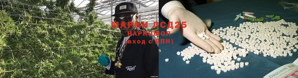 PSILOCYBIN Новокубанск