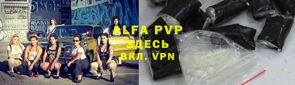 ECSTASY Новодвинск