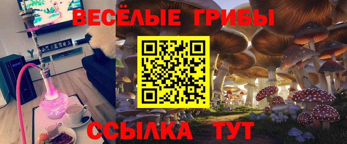 Псилоцибиновые грибы ЛСД  Псилоцибиновые грибы Cubensis  Вход с VPN  Армавир 