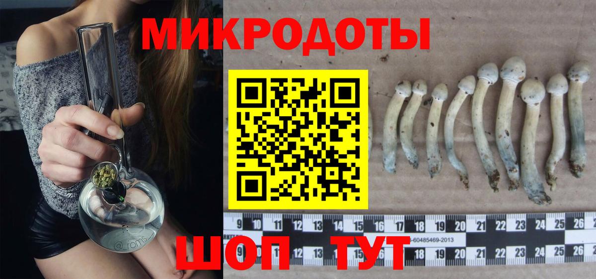 Псилоцибиновые грибы Cubensis Армавир